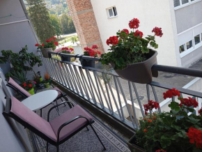 Apartman Radanović